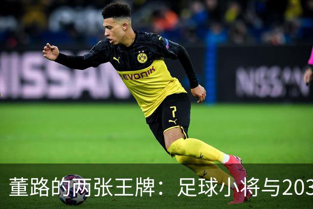 董路的两张王牌：足球小将与2034杯